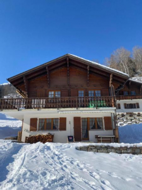 Chalet Bellwald